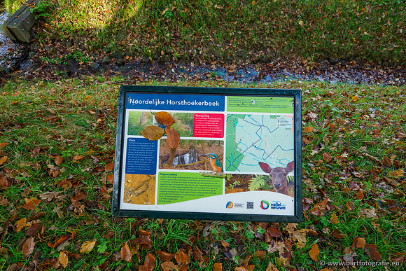 Noordelijke Horsthoekerbeek 221119-055
