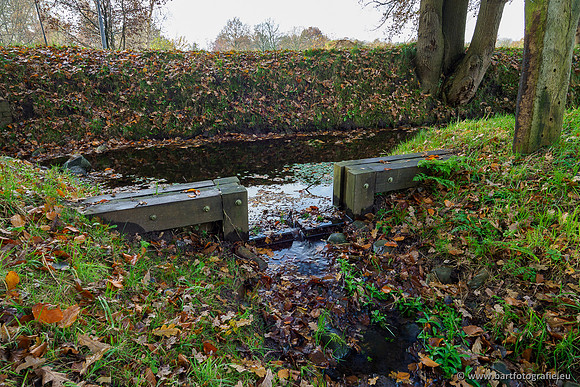 Noordelijke Horsthoekerbeek 221119-056