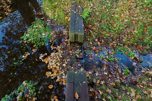 Noordelijke Horsthoekerbeek 221119-057