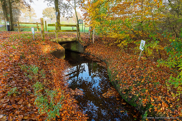 Noordelijke Horsthoekerbeek 221119-058