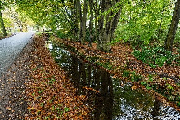 Noordelijke Horsthoekerbeek 221119-060