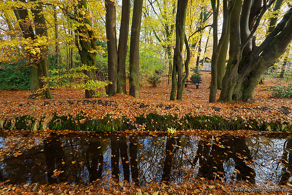 Noordelijke Horsthoekerbeek 221119-063
