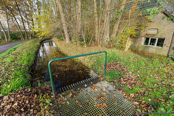 Noordelijke Horsthoekerbeek 221119-064
