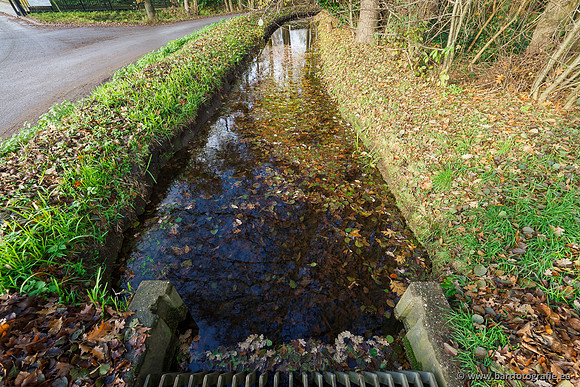 Noordelijke Horsthoekerbeek 221119-065