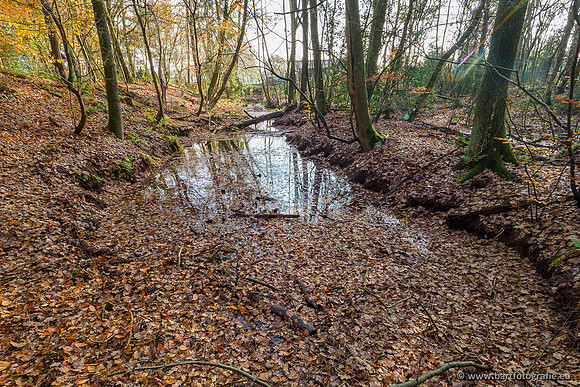 Noordelijke Horsthoekerbeek 221119-070