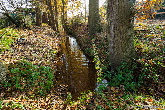 Noordelijke Horsthoekerbeek 221119-071