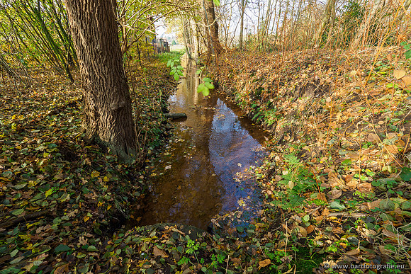 Noordelijke Horsthoekerbeek 221119-073