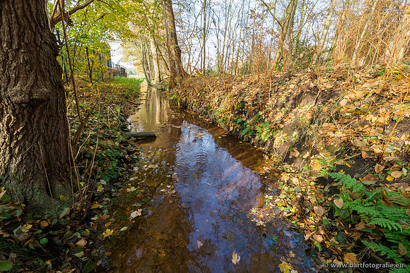Noordelijke Horsthoekerbeek 221119-074