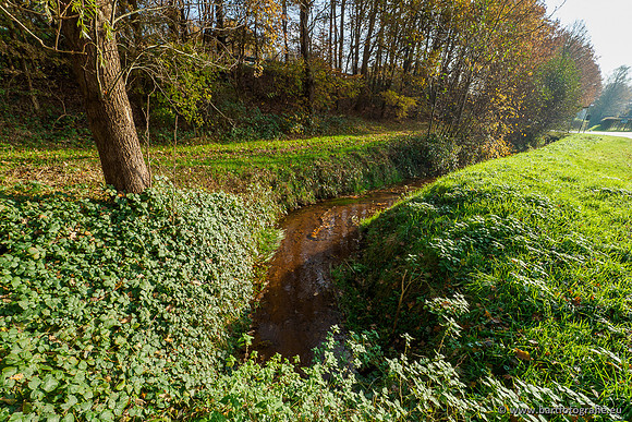 Noordelijke Horsthoekerbeek 221119-075