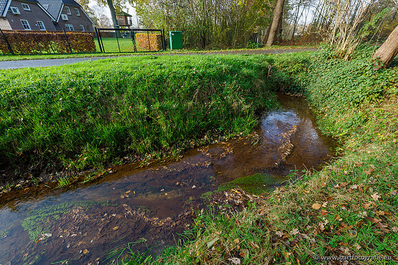 Noordelijke Horsthoekerbeek 221119-076