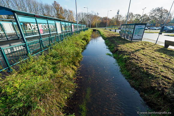 Noordelijke Horsthoekerbeek 221119-080