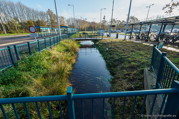 Noordelijke Horsthoekerbeek 221119-081