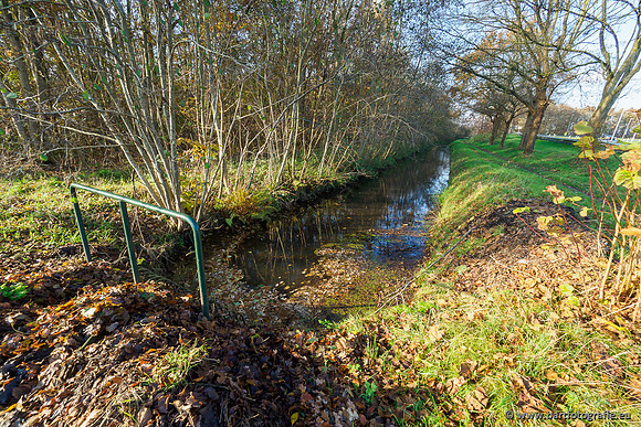 Noordelijke Horsthoekerbeek 221119-082
