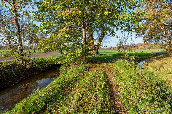 Noordelijke Horsthoekerbeek 221119-084