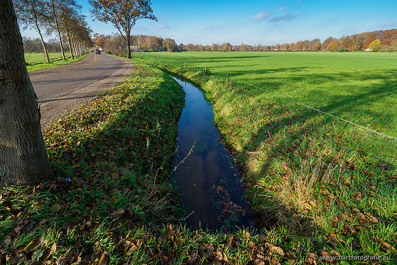 Noordelijke Horsthoekerbeek 221119-085