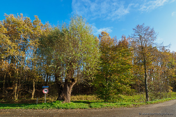 Noordelijke Horsthoekerbeek 221119-086