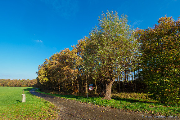 Noordelijke Horsthoekerbeek 221119-087