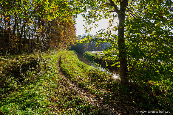 Noordelijke Horsthoekerbeek 221119-088