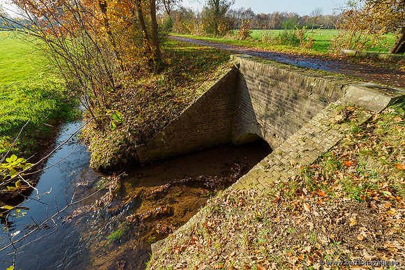 Noordelijke Horsthoekerbeek 221119-090