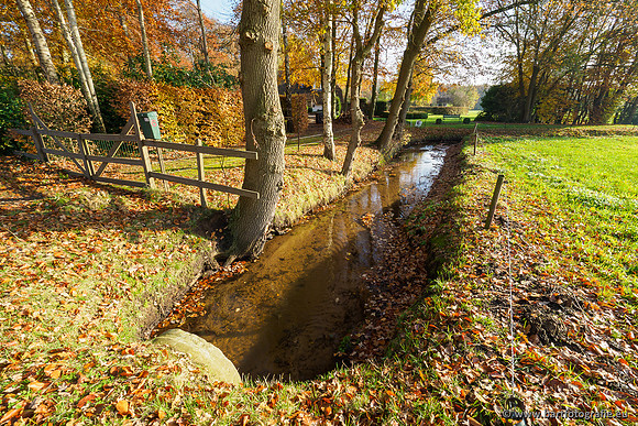 Noordelijke Horsthoekerbeek 221119-093