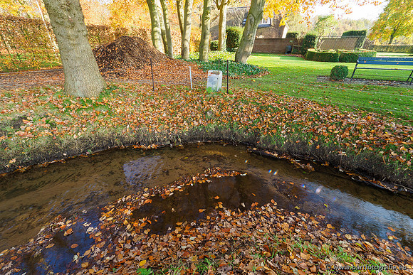 Noordelijke Horsthoekerbeek 221119-094
