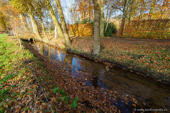 Noordelijke Horsthoekerbeek 221119-095