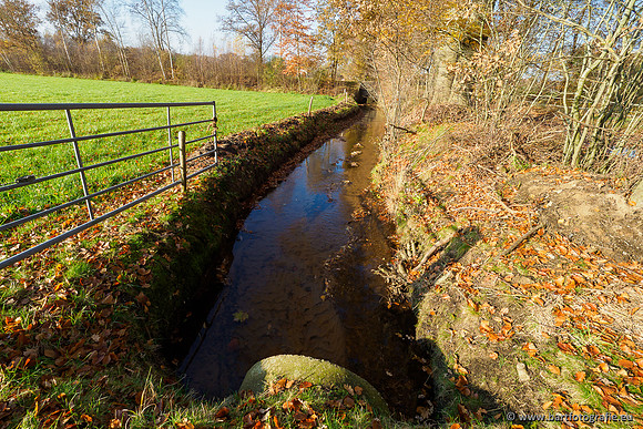Noordelijke Horsthoekerbeek 221119-096
