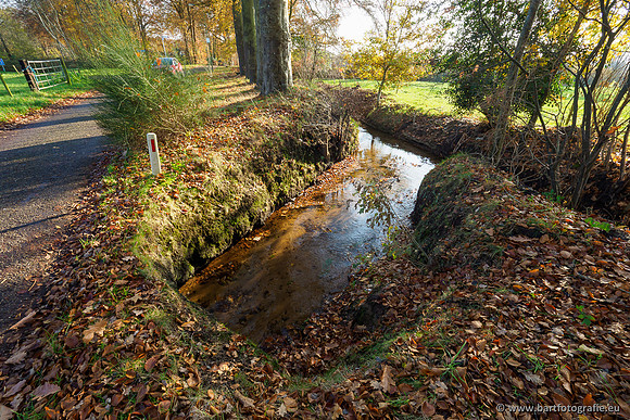 Noordelijke Horsthoekerbeek 221119-097