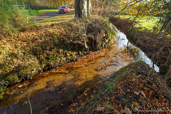 Noordelijke Horsthoekerbeek 221119-098