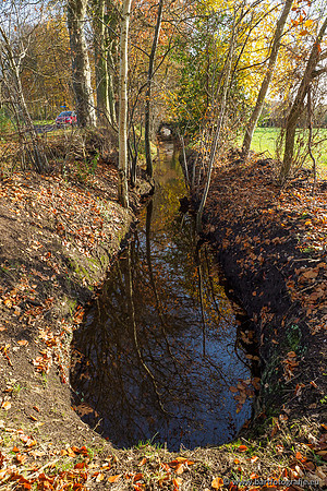 Noordelijke Horsthoekerbeek 221119-099