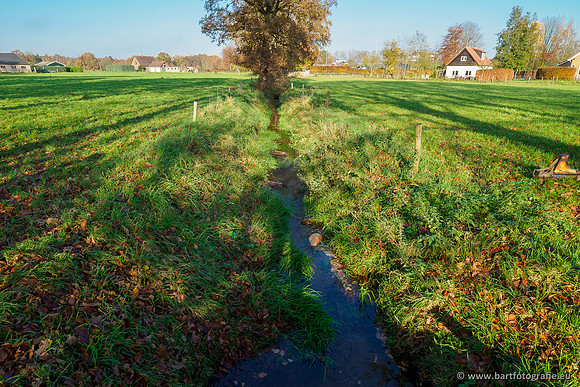 Noordelijke Horsthoekerbeek 221119-100