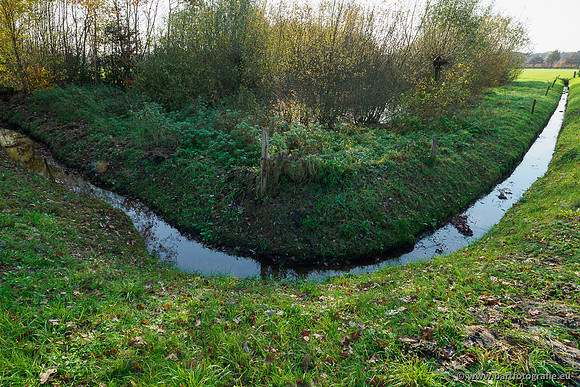 Noordelijke Horsthoekerbeek 221119-101