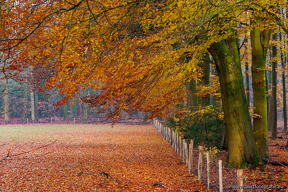 Noordelijke Horsthoekerbeek 221119-105