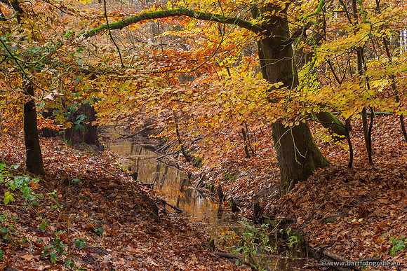 Noordelijke Horsthoekerbeek 221119-110