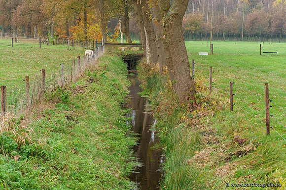 Noordelijke Horsthoekerbeek 221119-113