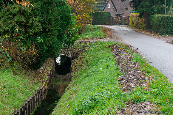 Noordelijke Horsthoekerbeek 221119-114