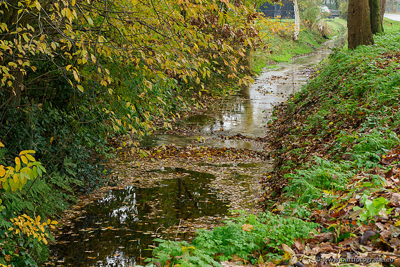 Noordelijke Horsthoekerbeek 221119-116