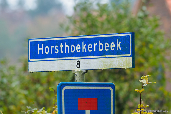Noordelijke Horsthoekerbeek 221119-117