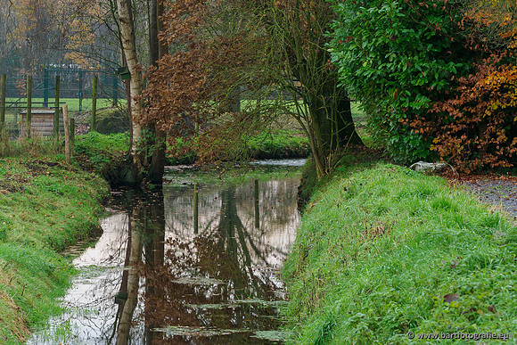 Noordelijke Horsthoekerbeek 221119-121