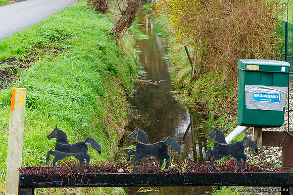 Noordelijke Horsthoekerbeek 221119-120
