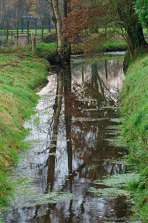 Noordelijke Horsthoekerbeek 221119-122