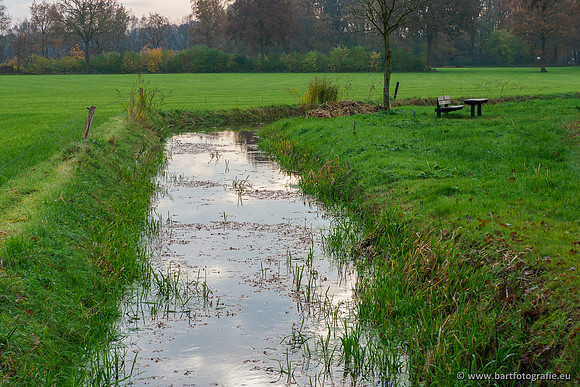 Noordelijke Horsthoekerbeek 221119-123