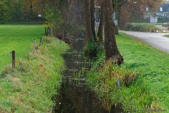 Noordelijke Horsthoekerbeek 221119-124