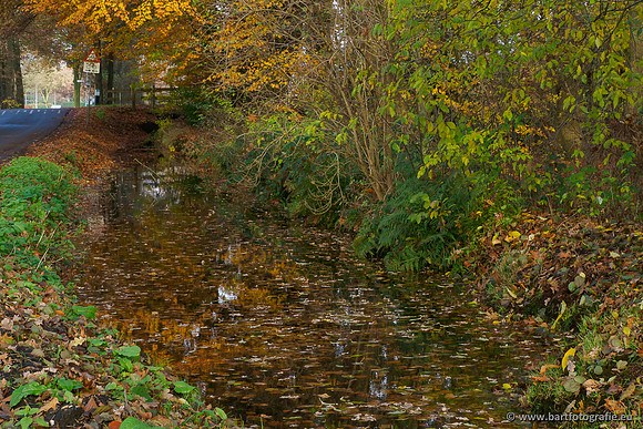 Noordelijke Horsthoekerbeek 221119-125