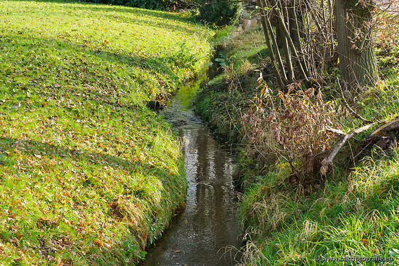 Noordelijke Horsthoekerbeek 221119-126