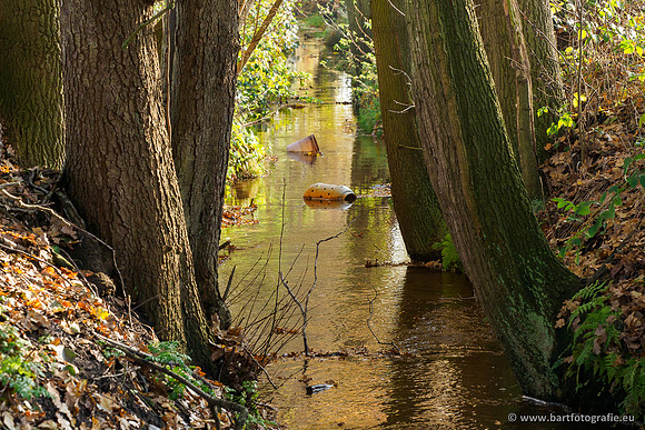 Noordelijke Horsthoekerbeek 221119-129