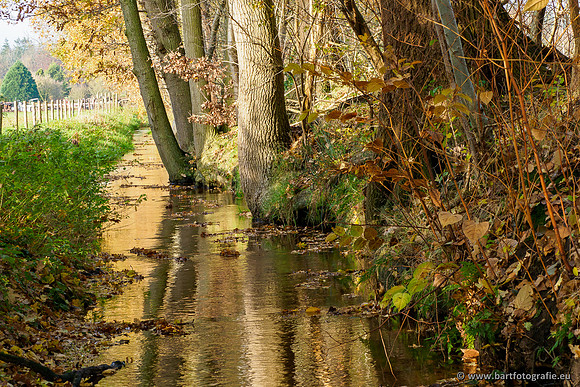 Noordelijke Horsthoekerbeek 221119-130