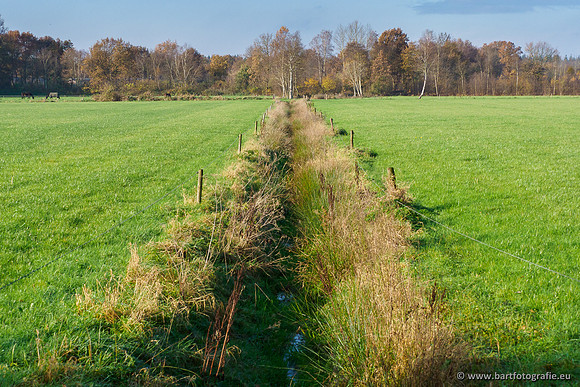 Noordelijke Horsthoekerbeek 221119-136