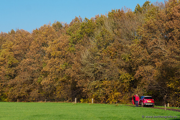 Noordelijke Horsthoekerbeek 221119-137