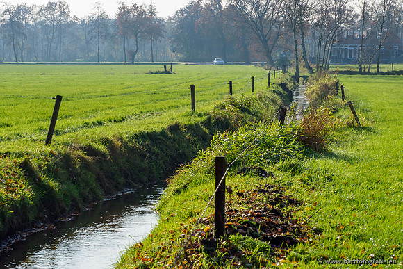 Noordelijke Horsthoekerbeek 221119-138